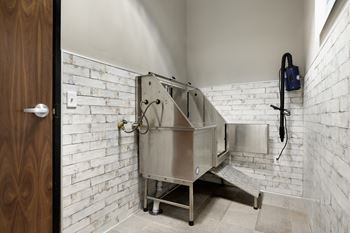 Dog wash station
